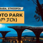 Addis Ababa Ethiopia food tour trendy live music in 1 hour