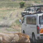 2 best Masai mara camp days