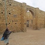 wild hyena feeding adventure in UNESCO Heritage Harer  city  24 hours visit