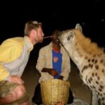 wild hyena feeding adventure in UNESCO Heritage Harer  city  24 hours visit