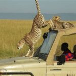 best kenya and Tanzania tour  in 2 weeks