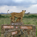 2 days easy Nairobi city tour