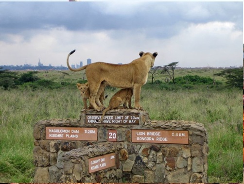 best kenya and Tanzania tour  in 2 weeks