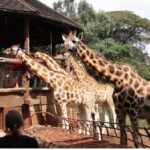 2 days easy Nairobi city tour